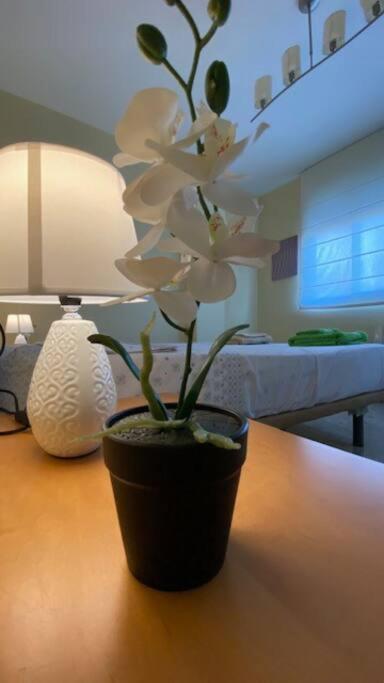 エリン The Mare Houseヴィラ エクステリア 写真